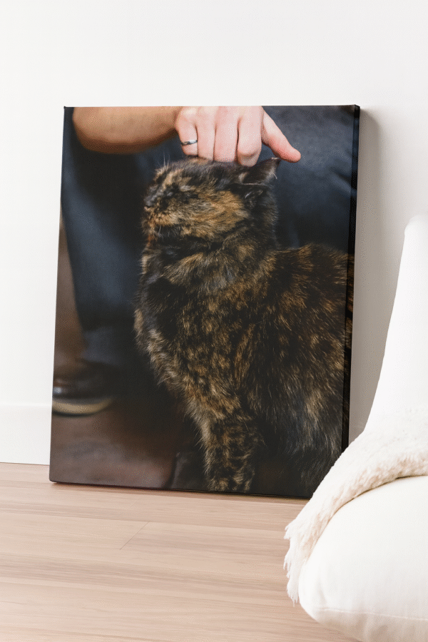 Cat Canvas Wall Art – Modern Home Decor Print